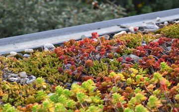 the cost of Pennywell green roof installation