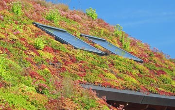 Pennywell living roof systems