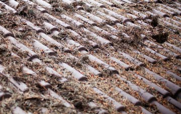 Pennywell roof cleaning companies