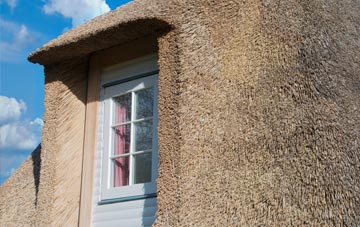 Pennywell thatch roof disadvantages