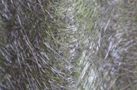 Pennywell fibreglass roof work